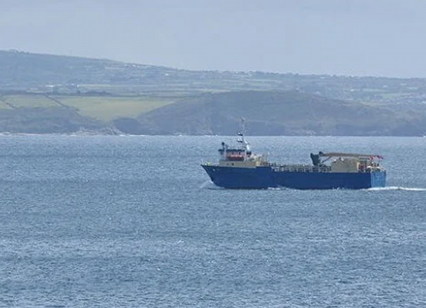 Cargo Ship Captain Swims to Save Unusual “Passenger”